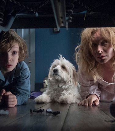 A mother and her son are joined by the family dog in looking underneath a bed.