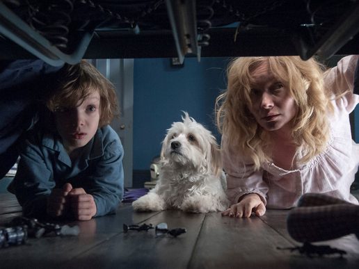 A mother and her son are joined by the family dog in looking underneath a bed.