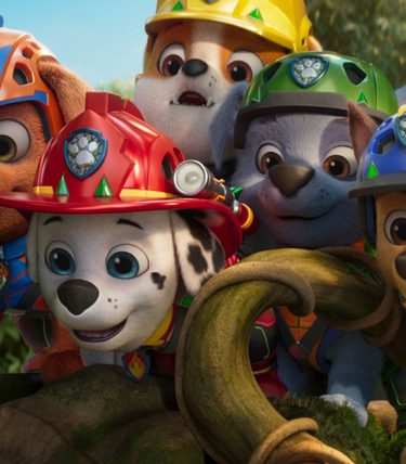 Members of Paw Patrol - dog based emergency services - are crowding around together to look at something.