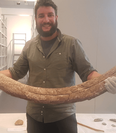 One of a pair of juvenile woolly mammoth tusks caught up in fishermen’s nets off West Worthing in 1920. This individual would have inhabited a low-lying landscape of shallow valleys, with a rapidly changing environment heralding the retreat of tundra and the emergence of streams and conifer woodland. The shore was at least two miles further south than today, even millennia after this mammoth died.