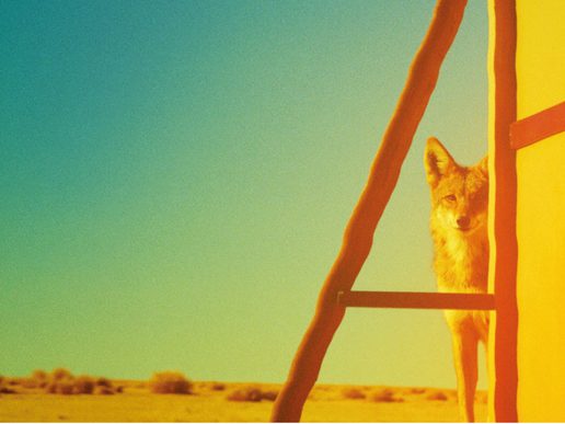 A coyote peers from behind the curved frame of a brightly lit structure in a desert landscape, rendered in vivid yellow, orange and turquoise tones.