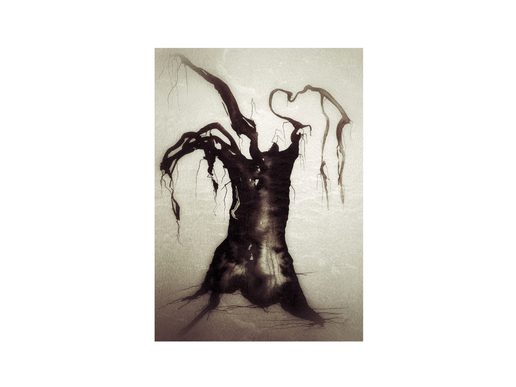 Monochrome artwork of a gnarled, ancient-looking tree with a thick dark trunk and twisted, drooping branches against a pale textured background.