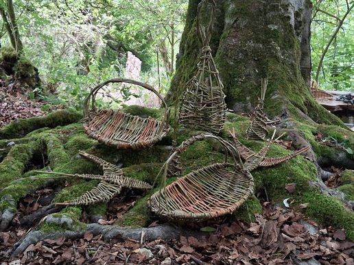 Handwoven willow baskets and sculptural forms arranged on moss-covered tree roots in a woodland setting, with fallen leaves and greenery surrounding the base of a large tree.